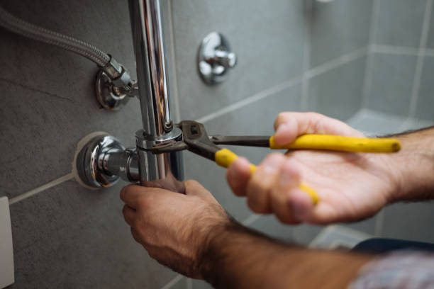 Best Leak Detection Services  in Shoshone, ID